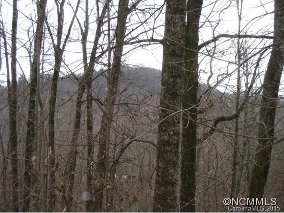 260 Bob Cat Spur Lane - Photo 10