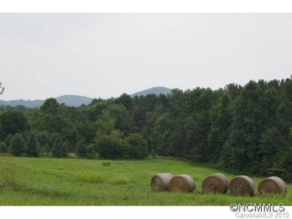 1030 Toney Road - Photo 3