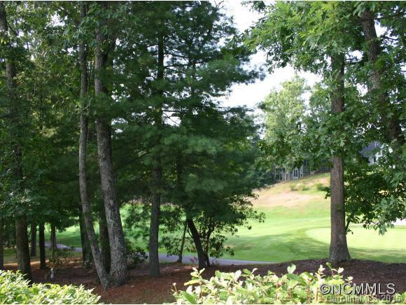 106 Broadmoor Drive - Photo 17