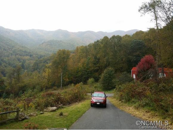 230 Log Cabin Ridge - Photo 3