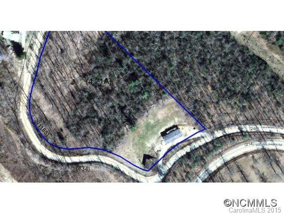 240 Pace Mountain Rd. - Photo 2