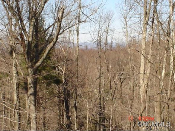 240 Pace Mountain Rd. - Photo 9