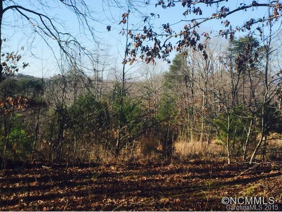 3182 Pea Ridge Road - Photo 5