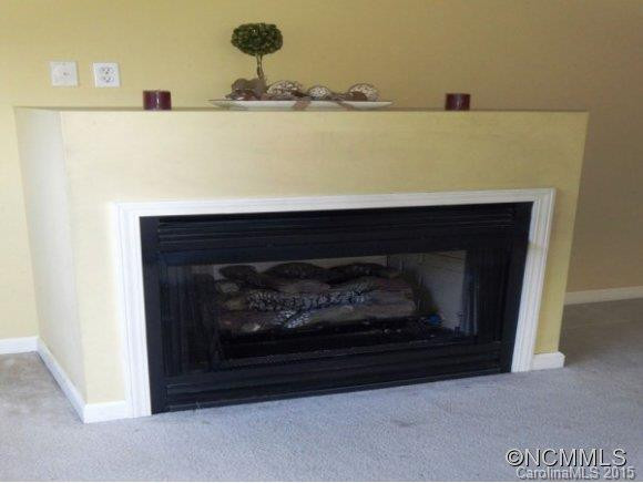 119 PAPER BIRCH AVE - Photo 9