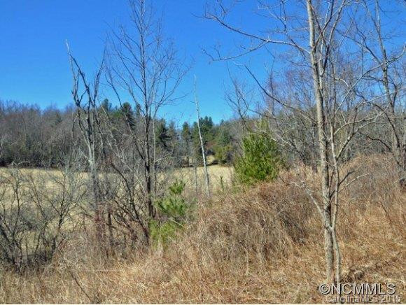 1024 Solomon Jones Road - Photo 12