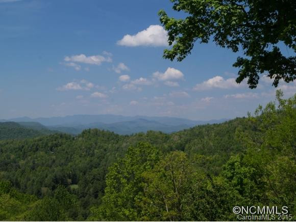 101 CATAWBA PATH - Photo 16