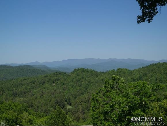 101 CATAWBA PATH - Photo 17