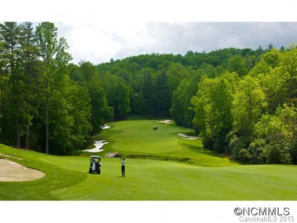 101 CATAWBA PATH - Photo 23