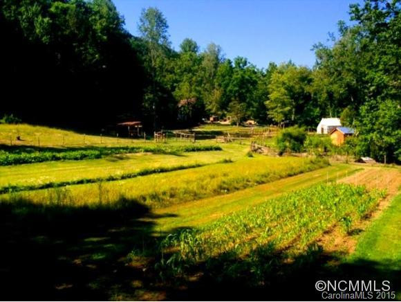 231 Upper Herron Cove Road - Photo 3