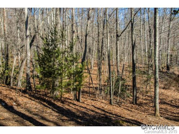 20 Shady Brook Ln - Photo 21