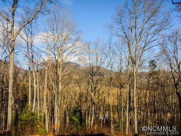 12 Howling Waite Ridge - Photo 24