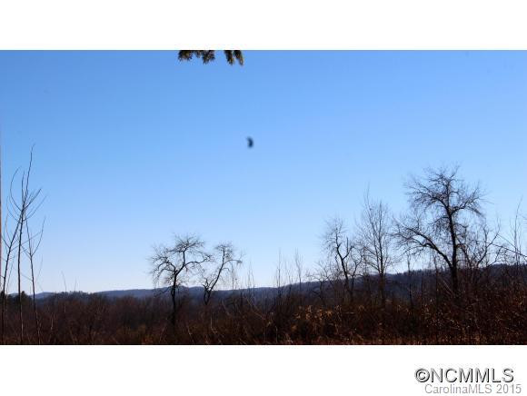 5585 Old Hendersonville Highway - Photo 3