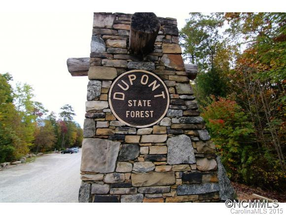 5585 Old Hendersonville Highway - Photo 24