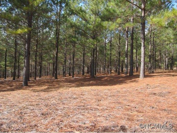 113 North Chatem Court - Photo 23