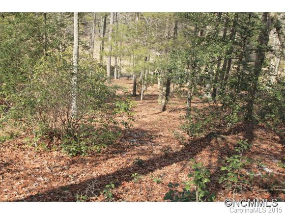 210 Big Valley Road - Photo 6
