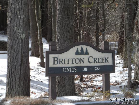 680 Britton Creek Drive - Photo 11