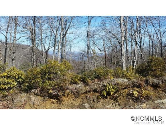 2053 Nancy Mountain Road - Photo 2