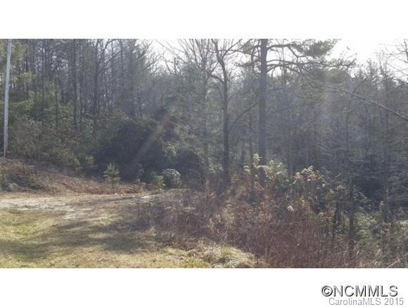 2053 Nancy Mountain Road - Photo 3