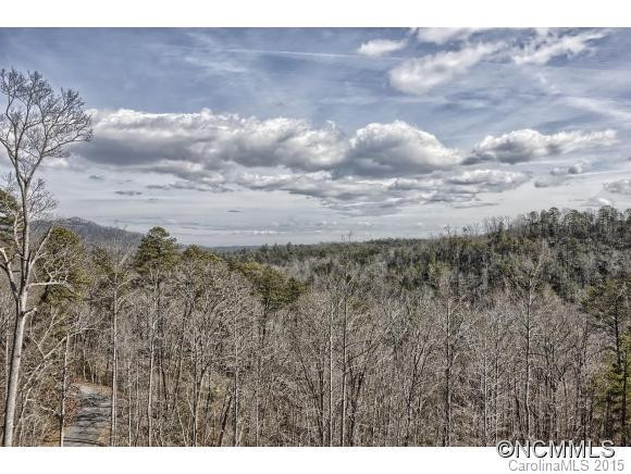 138 Silver Tree Lane - Photo 7