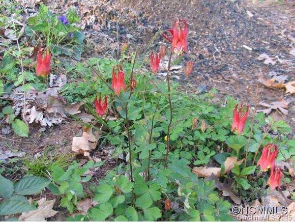 47 Lost Mountain Lane - Photo 23