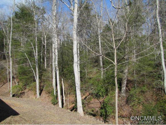 41 Dogwood Cottage - Photo 21