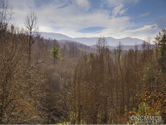 121 CHATTOOGA RUN - Photo 23