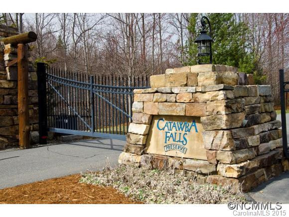 2839 Catawba Falls Pkwy - Photo 2