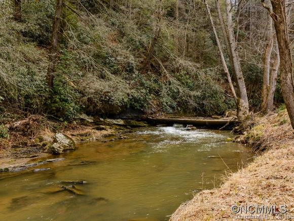 99 Sandy Mush Creek Rd - Photo 23
