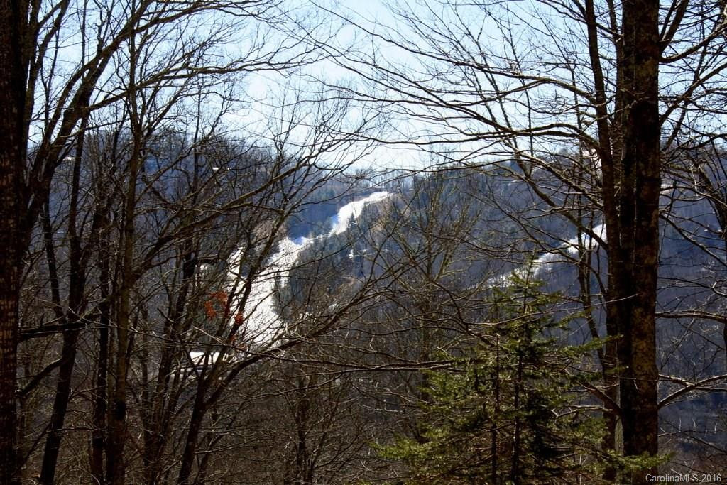 868 English Ridge #Multi - Photo 9