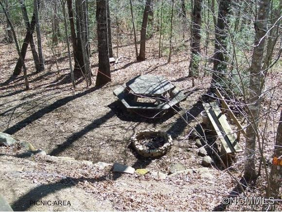 5 Mayapple Lane - Photo 5