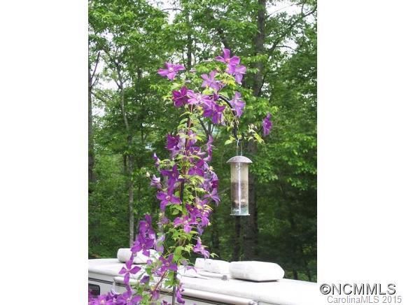 5 Mayapple Lane - Photo 7