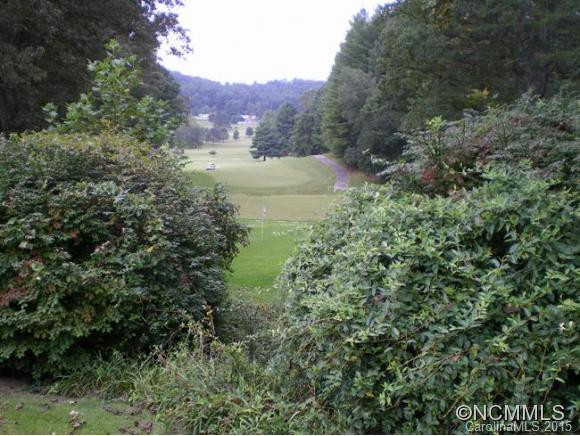 48 Glen Cannon Point, #2A - Photo 20