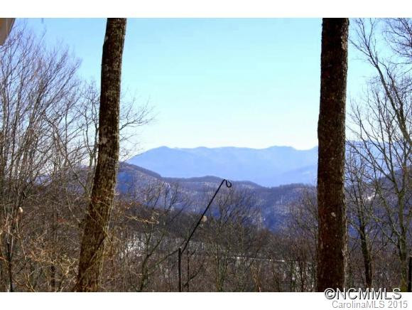 293 Birch Springs Lane - Photo 18