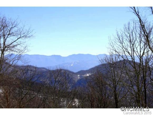 293 Birch Springs Lane - Photo 3