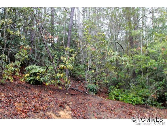 3675 Macedonia Church Road - Photo 10