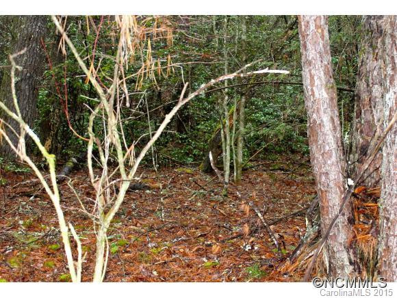 3675 Macedonia Church Road - Photo 11