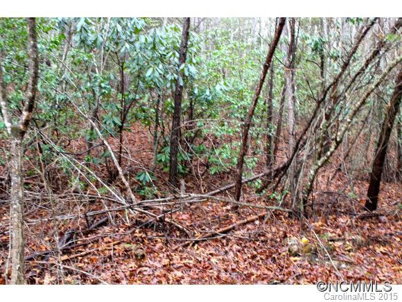 3675 Macedonia Church Road - Photo 12
