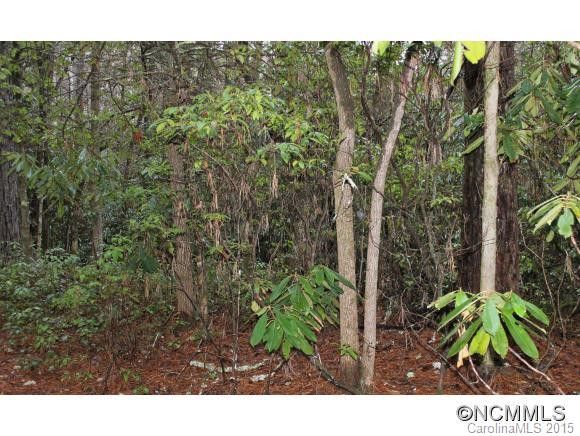 3675 Macedonia Church Road - Photo 13