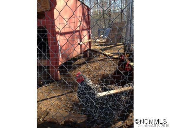 987 Old Stonecutter Road - Photo 13