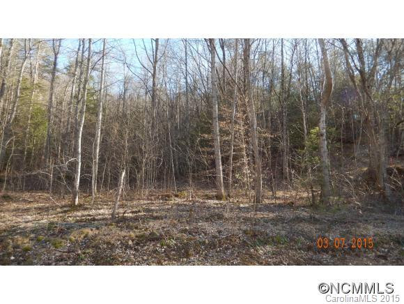 989 Bee Tree Road - Photo 3