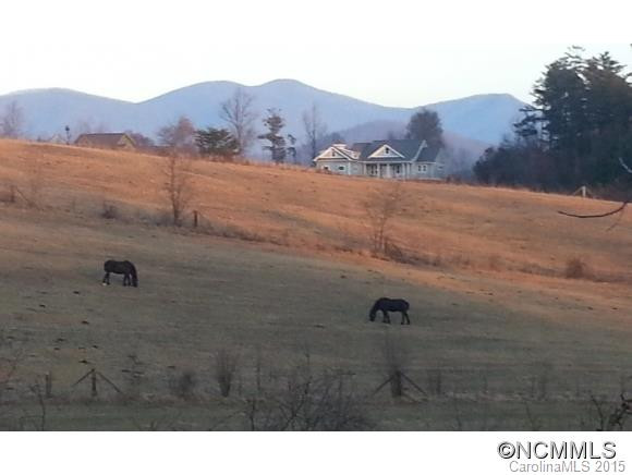 10 Mountain Meadow #10 - Photo 20