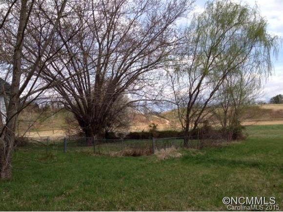 2511 New Leicester Highway - Photo 3