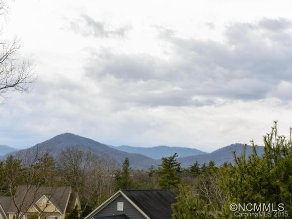 21 Dianthus Drive - Photo 4