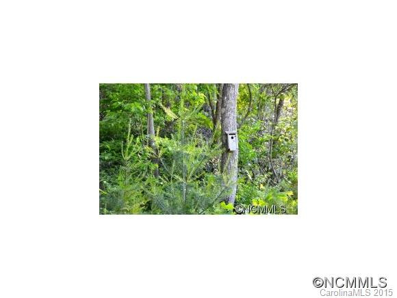 35 Lone Coyote Ridge - Photo 23