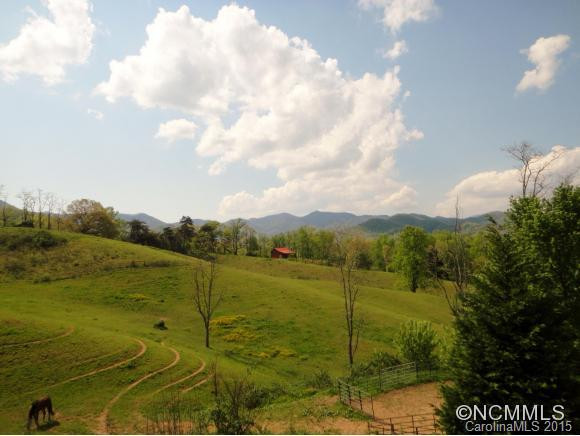 902 Chestnut Mountain Rd - Photo 4