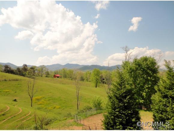 902 Chestnut Mountain Rd - Photo 6