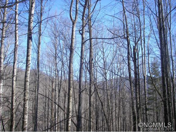 264 MAIN TRAIL - Photo 9
