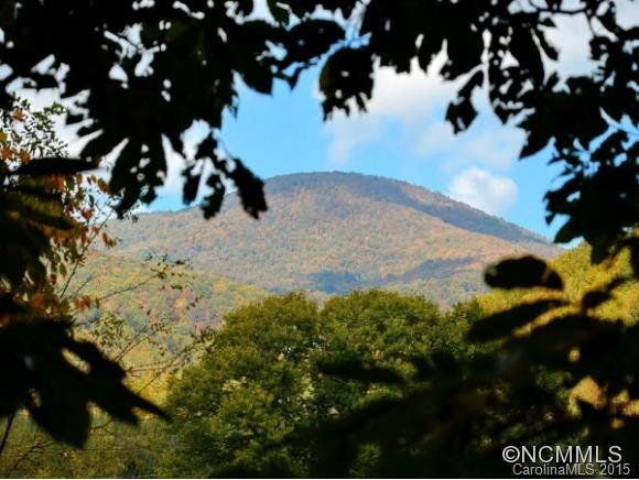 41 JACKS MOUNTAIN LANE - Photo 4