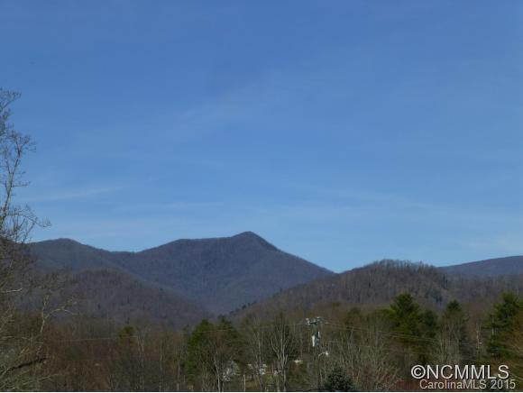 509 UPPER GRASSY BRANCH RD. - Photo 2