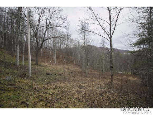 100 Alice Trail - Photo 12